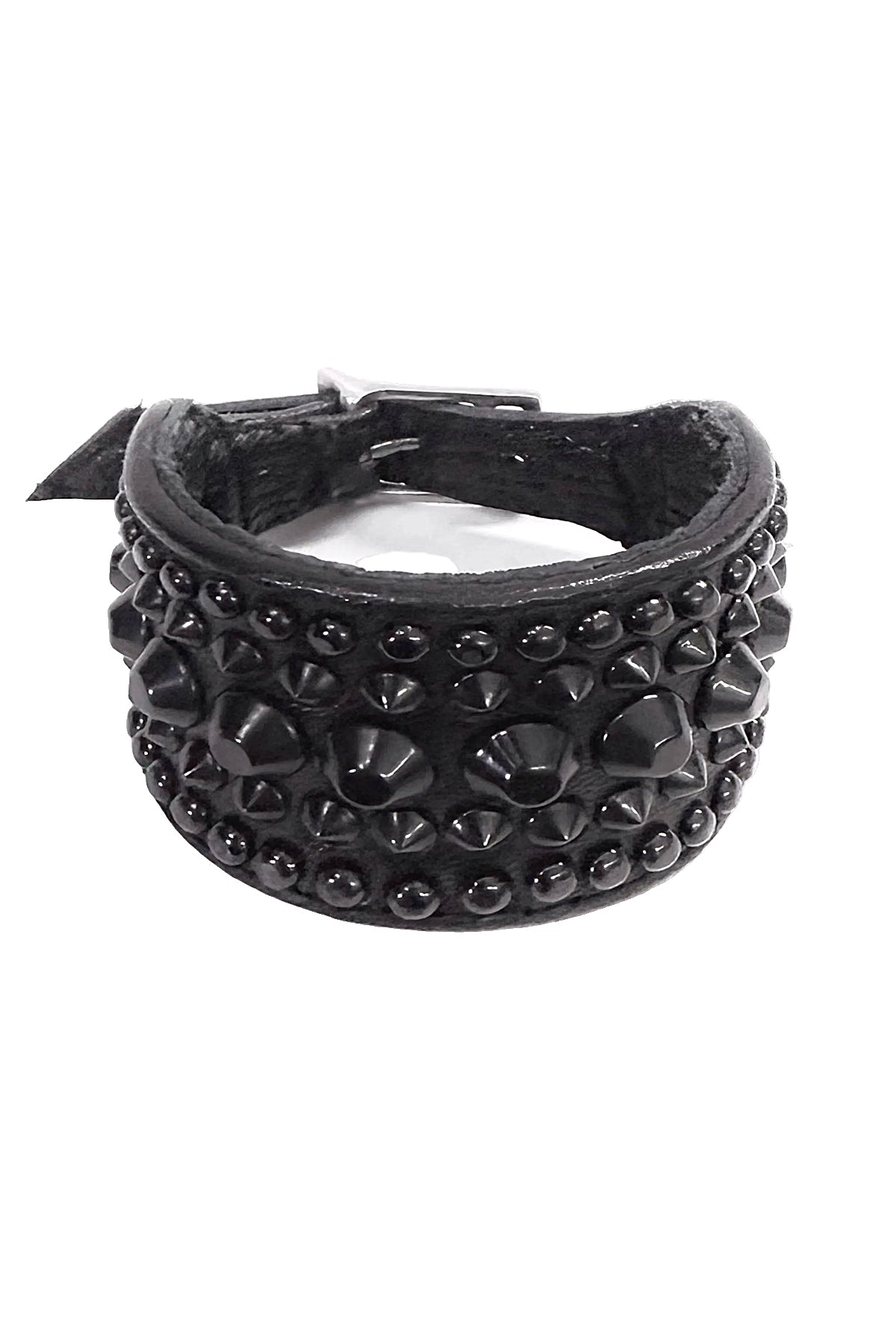 2601-AC03 BC-Black Dog