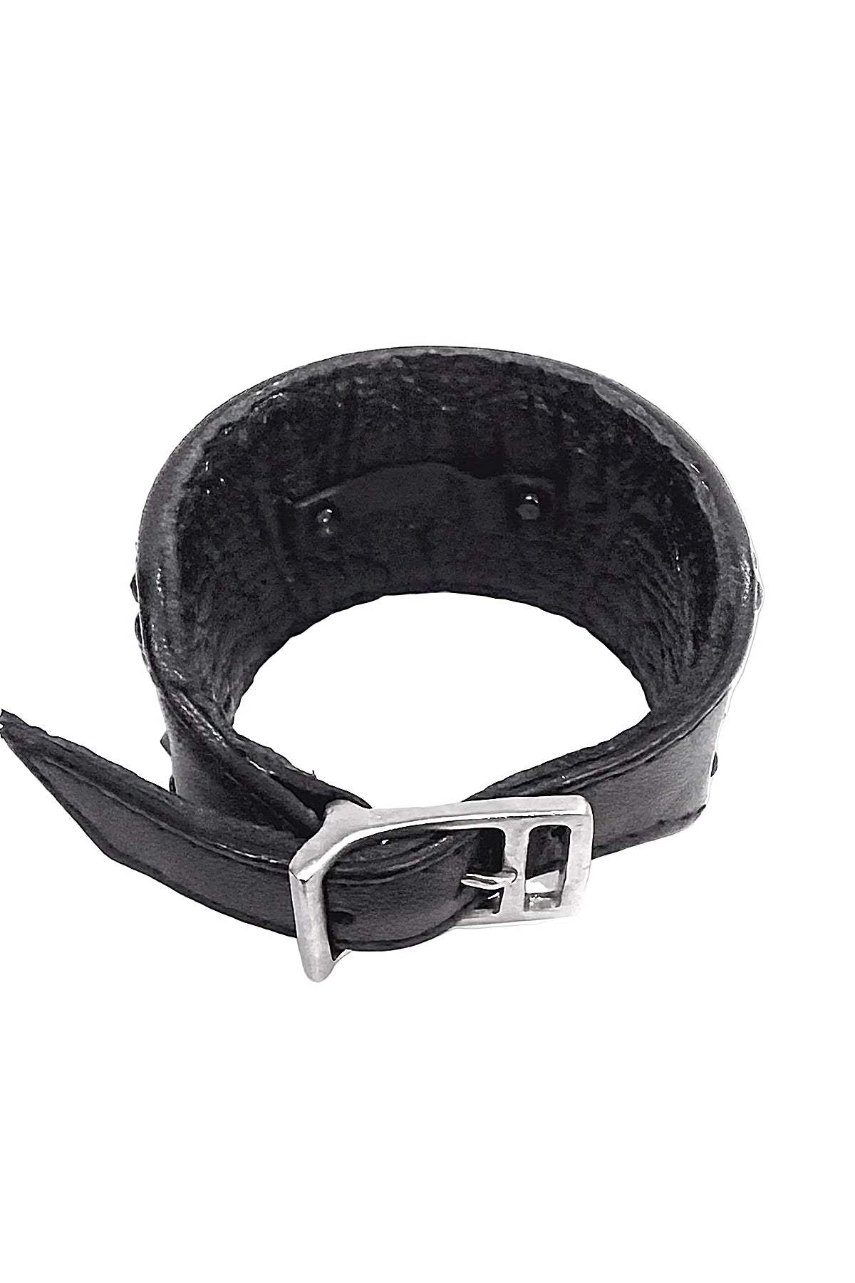 2601-AC03 BC-Black Dog
