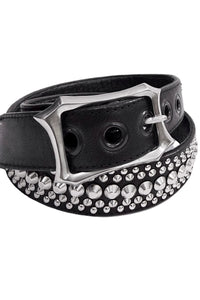2601-BT03 BT-Silver Dog