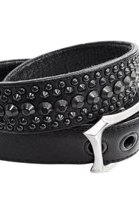 2601-BT02 BT-Black Dog