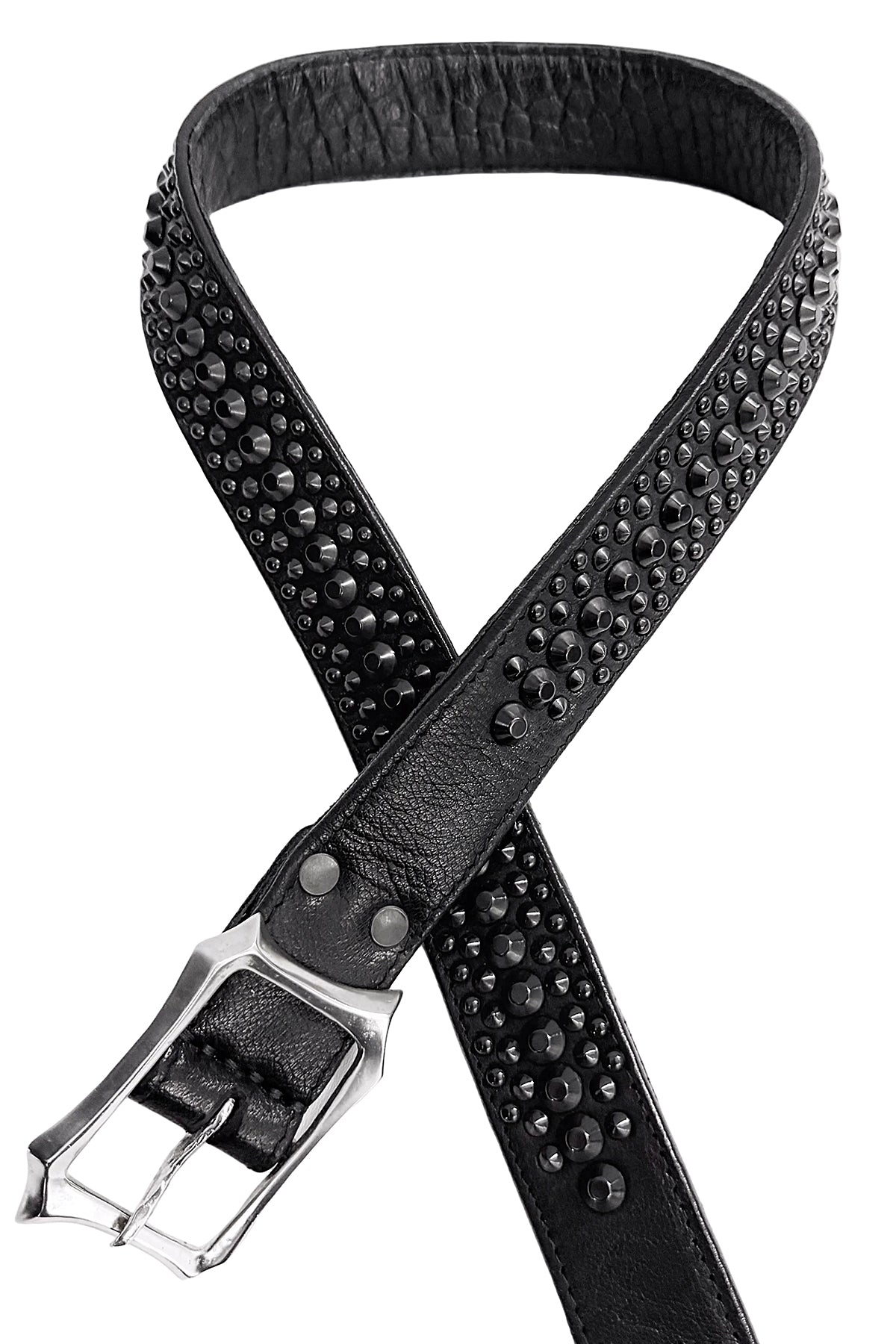 2601-BT02 BT-Black Dog