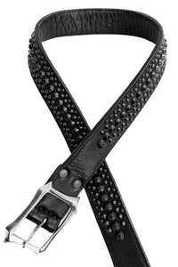 2601-BT02 BT-Black Dog