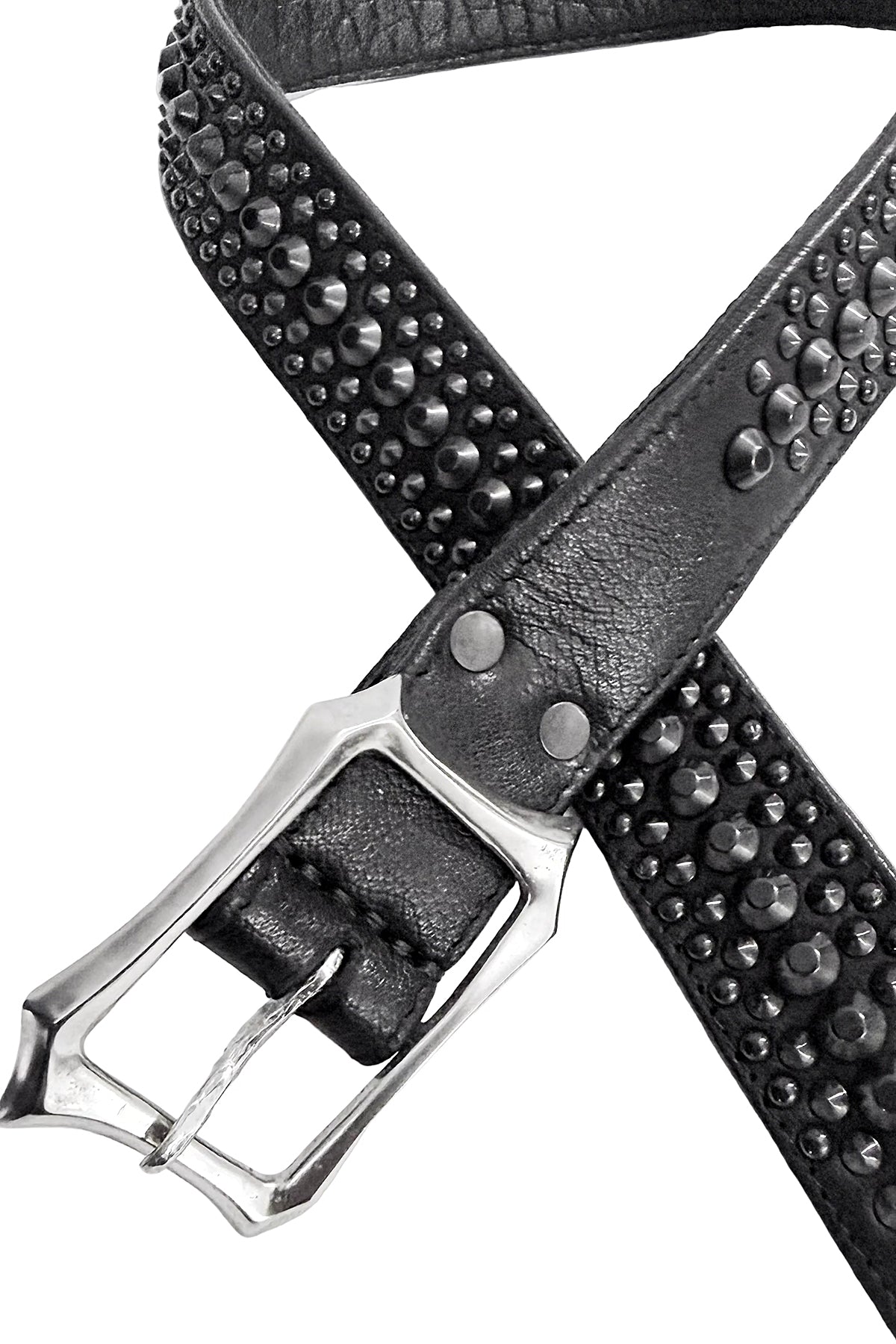 2601-BT02 BT-Black Dog
