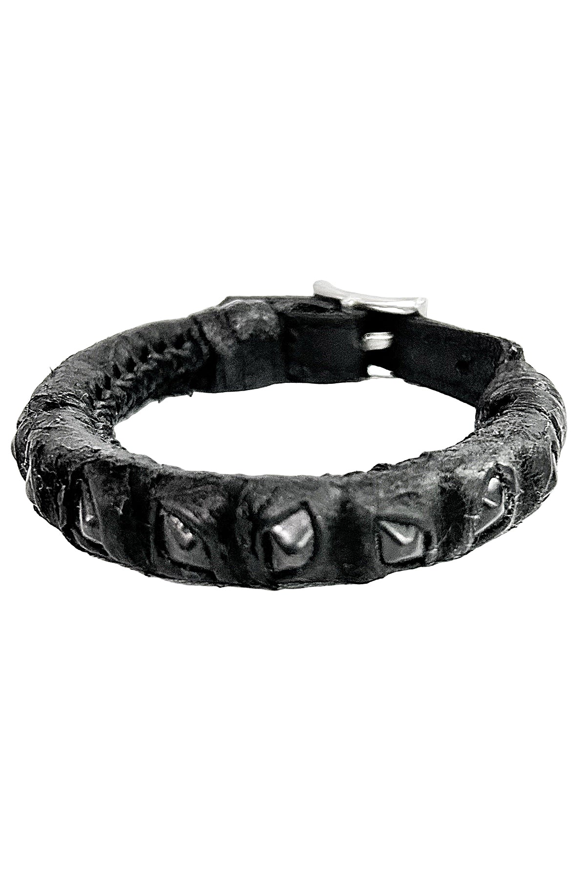 2401-AC06 BC-Rhino 01