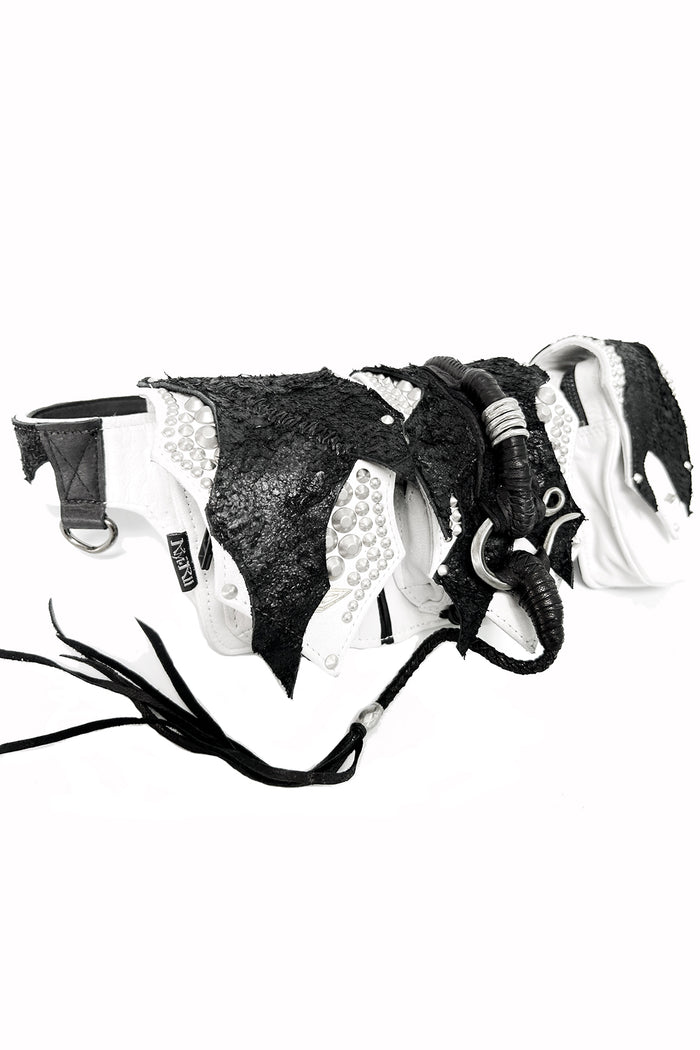 2501-BG09 KB-Jet_White