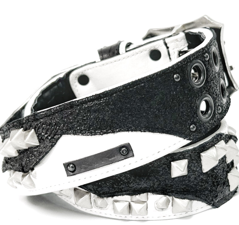 2501-BT05 BT-Rhino_White